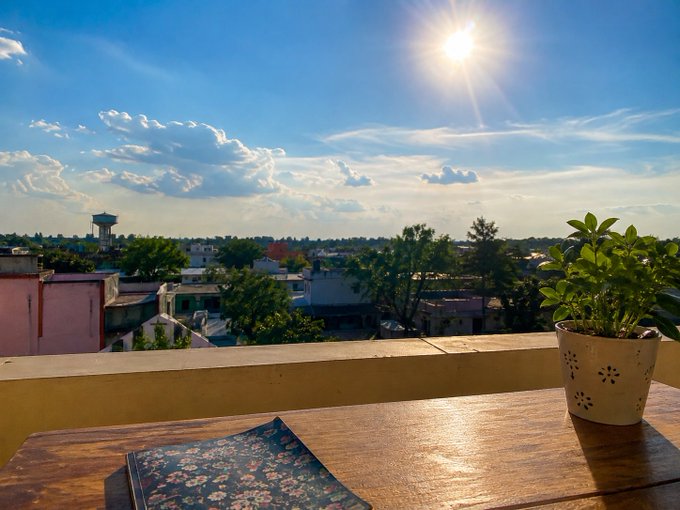 A sunny rooftop view from a wooden table with a potted green plant and a floral notebook, overlooking a town with a water tower in the distance.