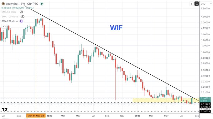 A weekly TradingView chart of dogwifhat ($WIF/USD) shows the price currently at 0.16652, rebounding off a support zone around 0.14 and approaching a long-term descending trendline resistance that originated from the November 2024 highs near 3.50, while a yellow highlighted box marks the DCA accumulation area.