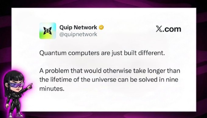 A screenshot of a tweet from Quip Network (@quipnetwork) on X.com stating 'Quantum computers are just built different. A problem that would otherwise take longer than the lifetime of the universe can be solved in nine minutes,' accompanied by a cartoon avatar.