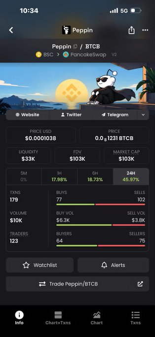 A mobile app screenshot showing crypto token details for 'Peppin', displaying a price of $0.0001038, a market cap of $103K, and 179 transactions.