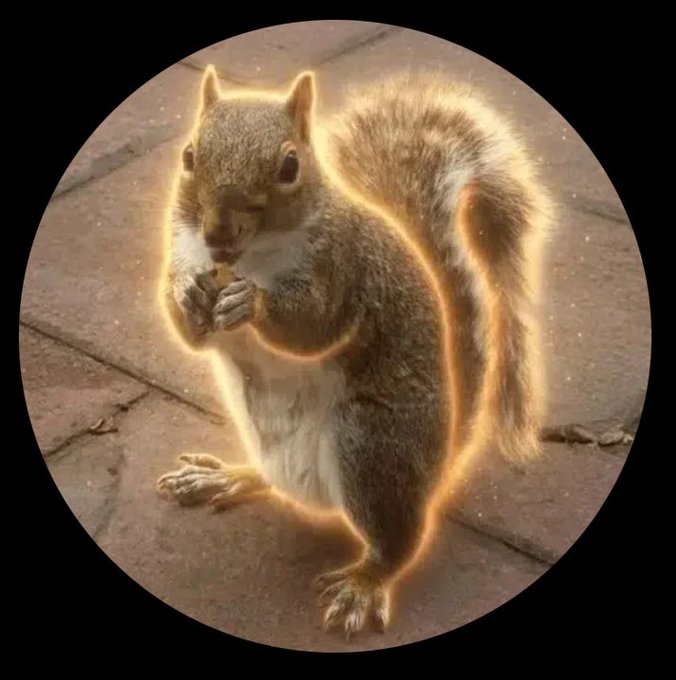An AI-generated image shows a squirrel standing upright and eating a nut, surrounded by a glowing orange outline.