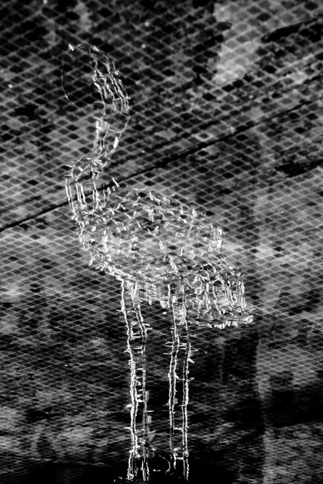A black-and-white image showing what appears to be a bird (possibly a dove) rendered in shimmering, fragmented reflections against a textured mesh-like background.