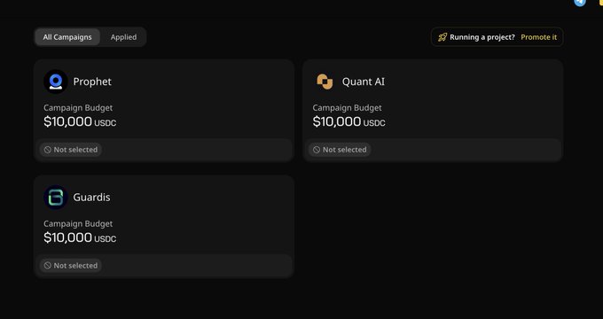 The image features a screenshot of an advertising dashboard displaying three different campaigns for different types of products, including one with a price tag of $10,000. One of these campaigns has a "Running" button above it. The budget displayed for this campaign is $100,000, and the remaining two budgets are $10,000 each. A note on the bottom states that two Campaigns have been selected by the owner but haven't run yet. The main focus should be on the campaigns that haven't been chosen yet to be completed, as a post says "Wallchain will bring value to Quack Heads holders soon."