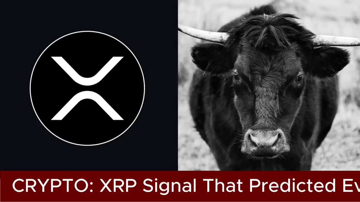The image shows an announcement about XRP with two images of a bull staring at you. The text below the bulls' image explains that XRP's RSI indicator has dropped, which means its signal is flashing again. This indicates a possible major rally in XRP in the near future.