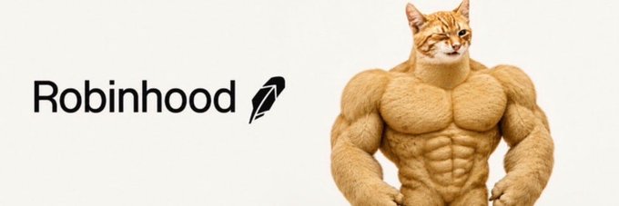The image shows the Robinhood logo next to a muscular, bodybuilder-styled orange cat (a "Chad" or "Buff Cat" meme), humorously depicting $ROBINHOOD as gaining strength and momentum. The meme visually reinforces the post's message that the Robinhood token is building power and standing out within its growing ecosystem on Robinhood Chain.