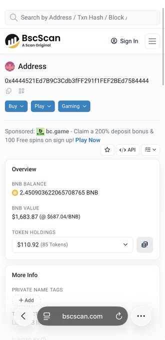An identical BscScan cryptocurrency wallet overview displaying 2.45 BNB worth $1,683.87 and token holdings of $110.92.