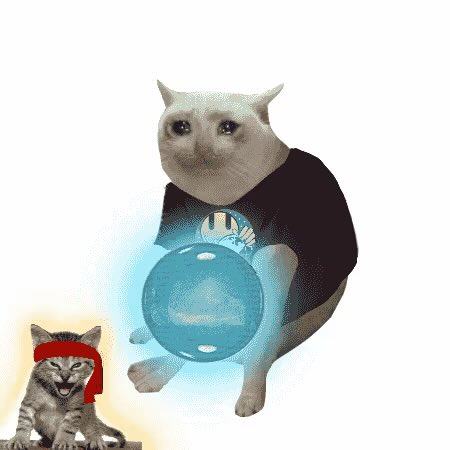 A humorous edit of a muscular white cat wearing a black t-shirt and holding a glowing blue energy ball, with a smaller grumpy kitten wearing a red headband in the corner.