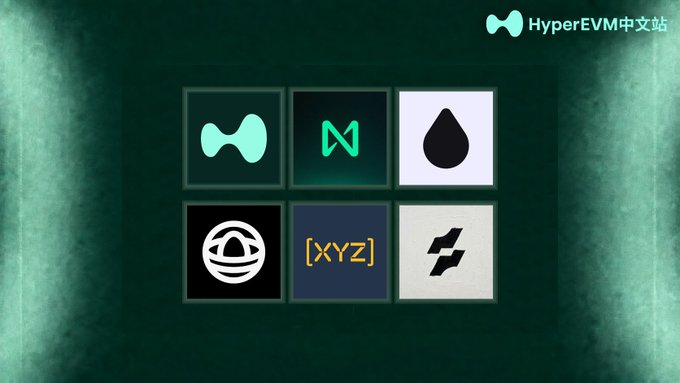 Green-themed promotional graphic for "HyperEVM中文站" (HyperEVM Chinese Station) featuring a 2x3 grid of cryptocurrency project logos including Hyperliquid, Near, a black teardrop logo, and others.
