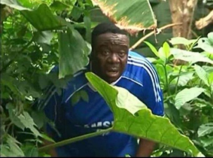 A man wearing a blue shirt peers cautiously through dense green foliage, displaying a surprised or alert expression.
