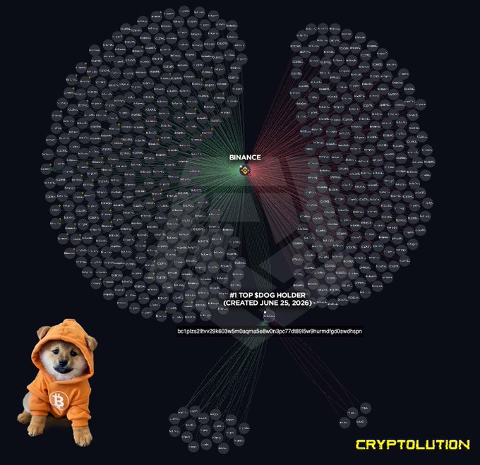 A visualization of Binance's top $DOG holder network, displaying interconnected wallet addresses radiating from a central Binance hub, with the address "bc1plzs2tlhvd9k6t03es5m0aqma5e8wdm3pc77d8995w6nurmdfgo0xwdxqpn" highlighted alongside a Shiba Inu dog in an orange Bitcoin hoodie, reinforcing the post's "I SEE EVERYTHING. $DOG" theme of surveillance over Dogecoin wallet activity.