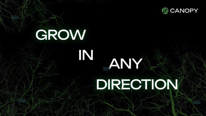 A dark promotional banner from Canopy with green-tinged tree branches in the background displays the motivational text 'GROW IN ANY DIRECTION' with the Canopy logo in the top right corner.
