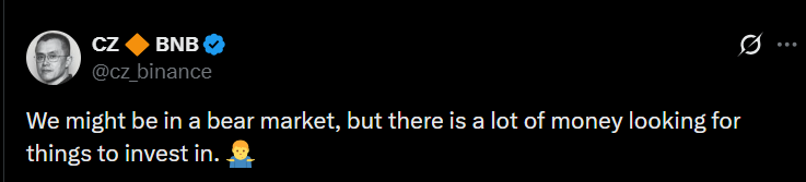 A tweet from CZ @cz_binance (BNB) reading: "We might be in a bear market, but there is a lot of money looking for things to invest in."