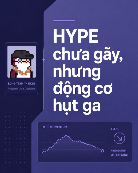 The image is an infographic on a dark purple background featuring a pixel-art avatar labeled "LONG-TERM THINKER" with the tagline "Research. Data. Discipline." The main headline reads "HYPE chưa gấy, nhưng động cơ hụt ga" (Vietnamese for "HYPE hasn't lost yet, but momentum is losing steam"), accompanied by a "HYPE MOMENTUM" line chart showing a declining trend, and a "TREND" indicator marked "MOMENTUM WEAKENING" with a downward arrow—visually supporting the post's message about Hyperliquid's slowing inflows and cooling momentum.