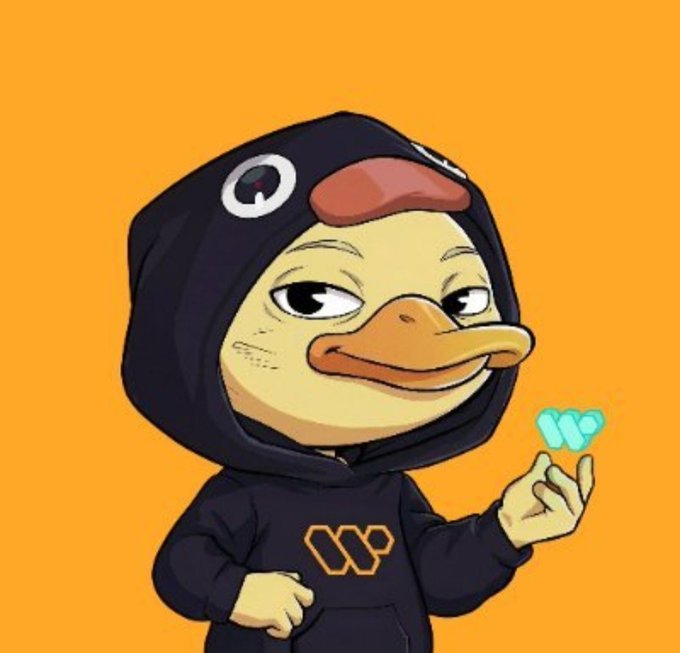 The image features a cartoon duck wearing a hoodie with the word "W" written on it, standing against an orange background. The text in the image reads: "Good evening everyone @wallchain is still building, still active, and opportunities are still open Don't miss your chance to win rewards If you'reeligible, apply for 3 of their projects and share in 4 posts how much $ you need and why".