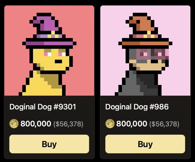 Marketplace listing showing two 'Doginal Dog' NFT cards (#9301 and #986) featuring pixel art dogs in wizard hats, each priced at 800,000 DOGE ($56,378) with a 'Buy' button.