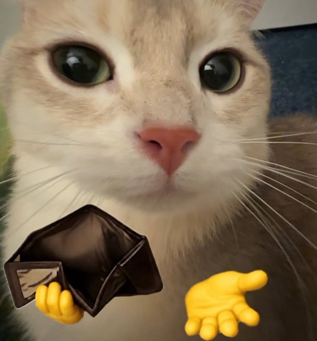 A close-up of a cream-colored cat with large green eyes, overlaid with cartoon yellow hands — one holding an open empty black wallet and the other gesturing toward it, suggesting poverty or no money.