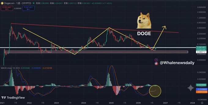 A TradingView chart for Dogecoin (DOGE/CRYPTO) shows a long-term price analysis with technical patterns, featuring the Shiba Inu dog logo and annotations indicating potential upward movement.