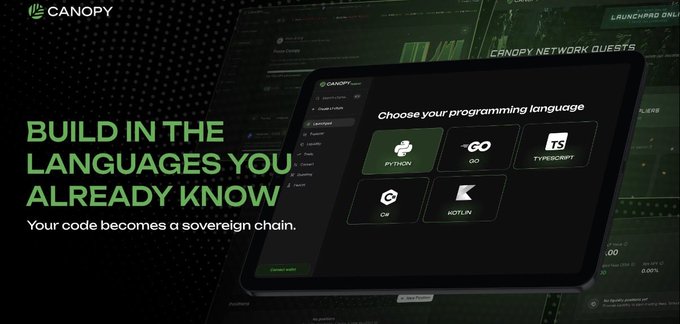 The image features a computer screen displaying a website called @CNPYNetwork, which promotes the idea of building your own blockchain using programming languages like JavaScript and Python. The website encourages users to learn these languages by providing step-by-step instructions on how to code in them. The text "Build in the languages you already know" suggests that the user can start with their existing knowledge of JavaScript or Python, making it easier for them to build a blockchain.