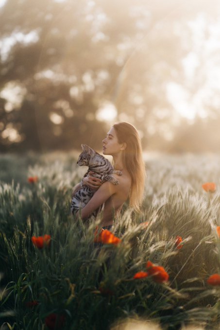 A serene, warmly lit photograph of a young woman with long hair holding a tabby cat in a sunlit field of tall grass and red poppies, with sunlight glowing through trees in the background.
