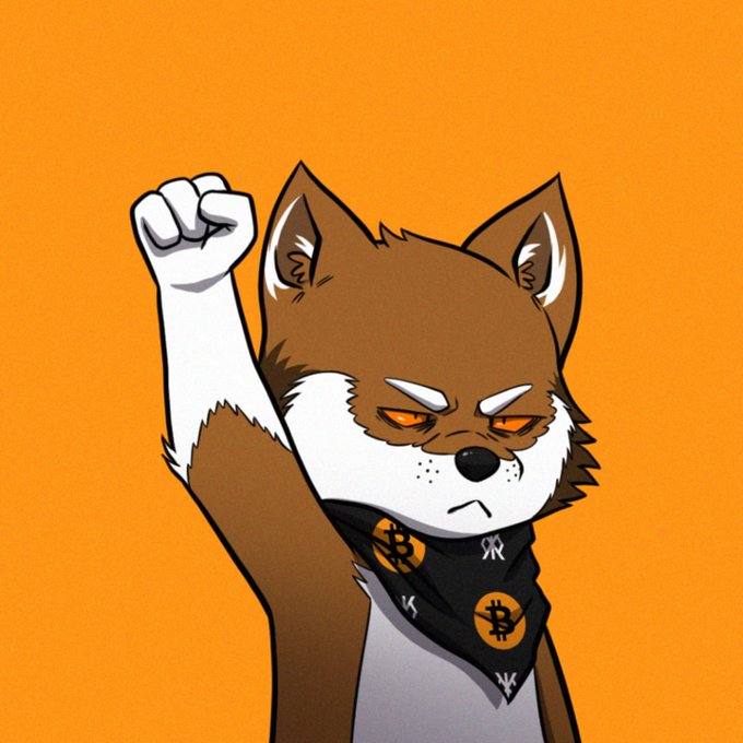 ursa, the Shiba Inu dog character from the anime "Ursa" by Hayato Takahashi, stands against a vibrant orange background with raised arms and a bandana on its head.