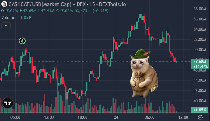 TradingView chart for CASHCAT/USD showing a market cap around $47.68M with a +11.47% change, overlaid with a cat dressed as a leprechaun holding a money bag.