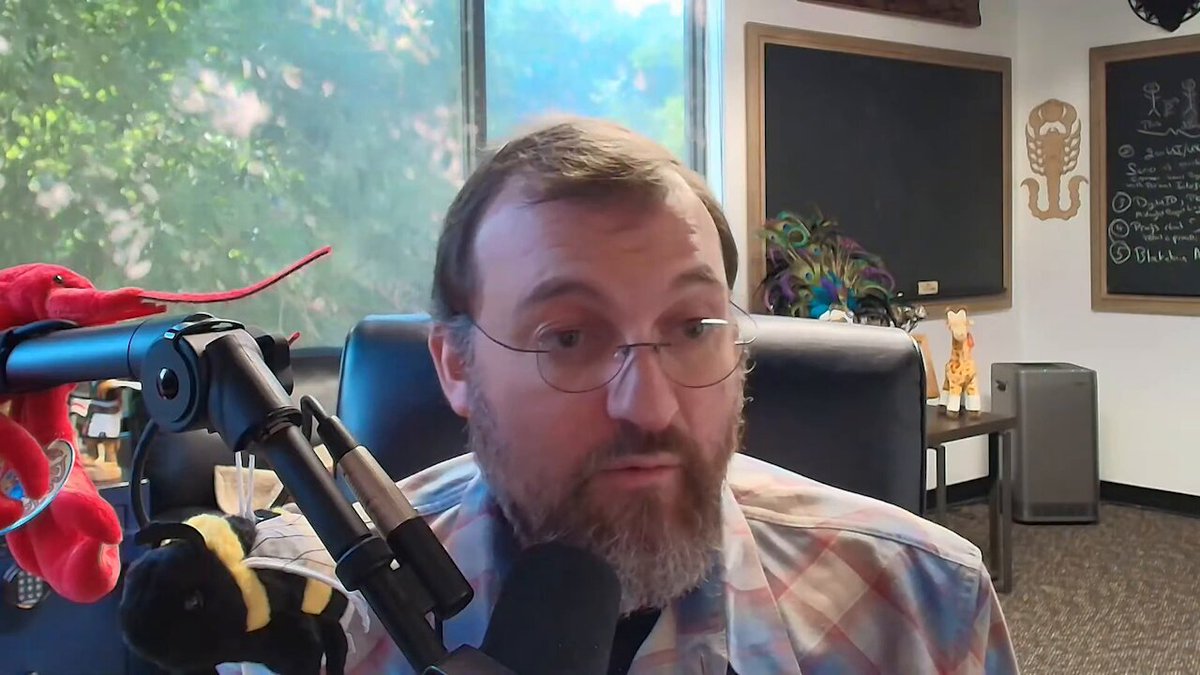 The image shows a man wearing glasses sitting behind a microphone at a desk or table. He appears to be talking into the microphone, possibly discussing something related to the #Cardano hack that has been circulating online. The background features a window with blinds, suggesting an indoor setting like an office or studio.