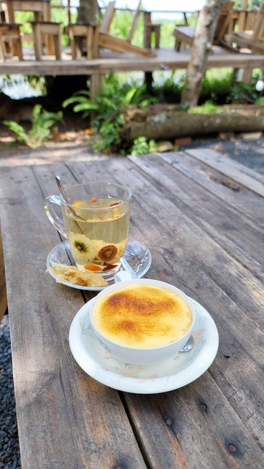 A cup of creme brulee and a mug of herbal tea with kumquats sit on a rustic wooden table, with wooden benches and greenery visible in the background.