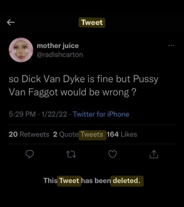 A deleted tweet from @radishcarton questions why "Dick Van Dyke" is acceptable while "Pussy Van Faggot" would be considered wrong, with 20 retweets and 164 likes. This post likely illustrates an "interesting point" about perceived double standards in acceptable language.