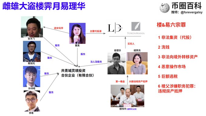 The image is a Chinese infographic titled "雌雄大盗楼霁月易理华" (referencing the aliases Yi Lihua and Lou Jiyue) that maps out a network of individuals connected to "楼&易六宗罪" (Lou & Yi's six alleged crimes): 1) illegal fundraising/proxy investment, 2) money laundering, 3) illegal offshore asset transfers, 4) market manipulation, 5) massive financial fraud, and 6) mortgage fraud involving Yi Lihua's father ("楼华中"). 

The diagram links accomplices (熊鸿飞, 戴旭光, 孙祥艳, 李彬, 曹芸, 赵理华, 楼霁月, 楼华中) through relationships like "股东" (shareholder), "迷友玩伴" (close friends), "法人控股东" (controlling shareholder), and "主要代投源" (main proxy investment source), connecting them
