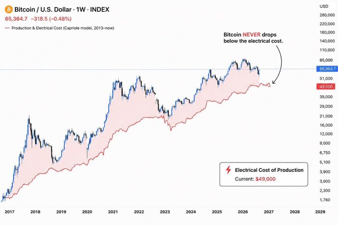 This is a weekly Bitcoin/USD chart (2017-2029) from Capriole showing Bitcoin's price (currently $65,364.7) plotted against its electrical cost of production model (currently $49,000). The chart illustrates the post's claim that Bitcoin has historically never traded below its electrical production cost, with the pink-shaded "cost floor" acting as a consistent support level beneath price action.