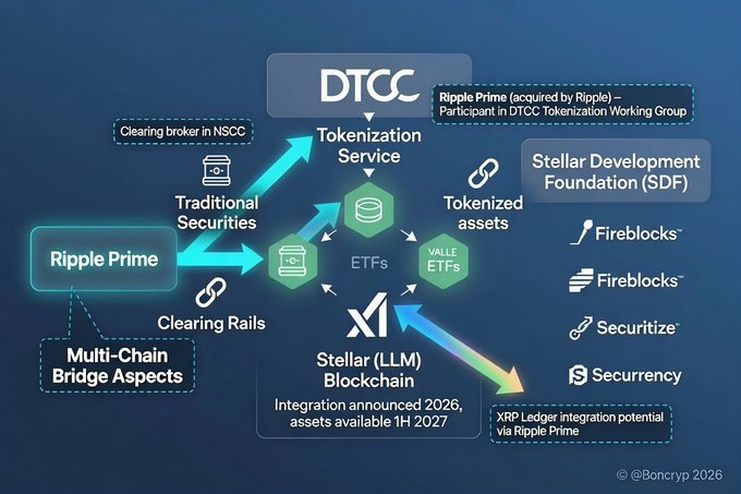 A diagram showing the relationship between DTCC, Ripple Prime, and the Stellar Development Foundation (SDF) for tokenization services, with Ripple Prime acquired by Ripple as a participant in the DTCC Tokenization Working Group, showing clearing rails connecting traditional securities, ETFs, VALUE ETFs, and tokenized assets on the Stellar (XLM) blockchain with integration announced for 2026.
