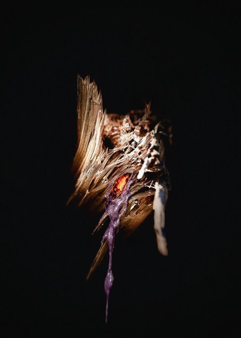 A close-up of a damaged insect or creature with translucent wings and a glowing orange-red center against a black background.