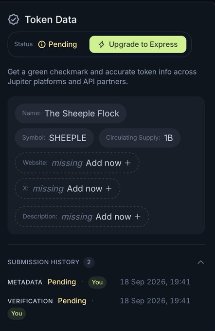 A screenshot of a 'Token Data' page showing a token named 'The Sheepie Flock' (SHEEPLE) with a pending status, a 1B circulating supply, and missing website, X, and description fields.