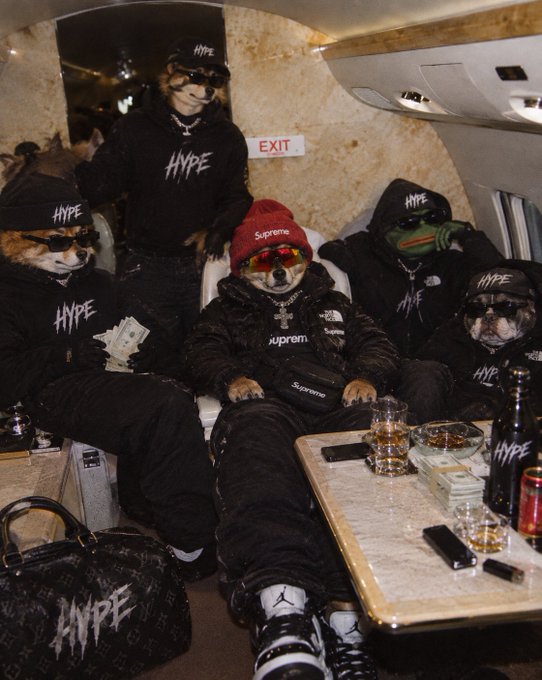 A group of figures wearing dog masks, sunglasses, and black clothing branded with 'HYPE' and 'Supreme' sit in a private jet with cash and drinks.