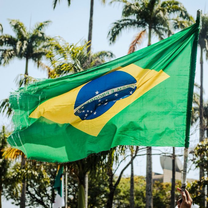 A Brazilian flag waving in the wind with palm trees visible in the background on a sunny day.