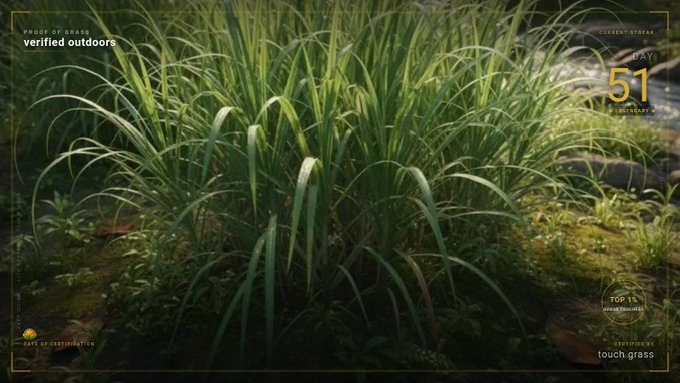 A render of tall green grass is overlaid with a futuristic HUD interface displaying text including 'CURRENT STREAM', 'verified outdoors', '51', 'TOP 1%', and 'touch grass'.