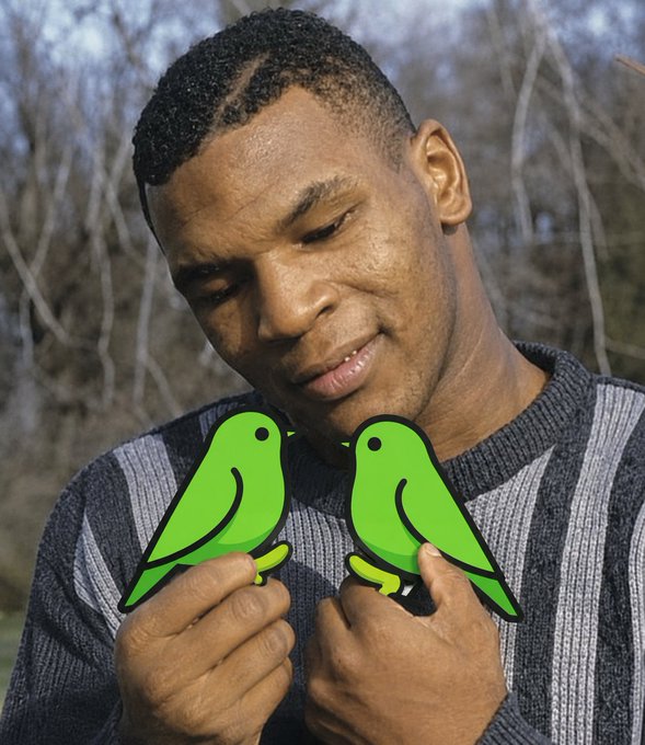 A smiling man in a gray and black striped sweater looks down at two green cartoon birds perched on his fingers, which appear to be digitally added.