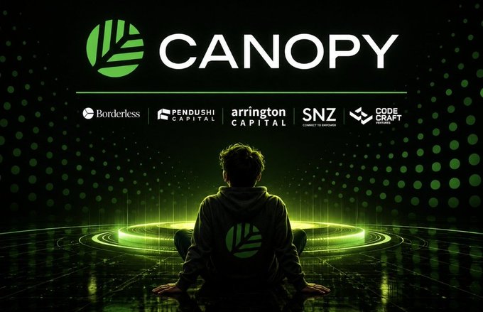 A dark promotional image features the 'CANOPY' logo with investors listed below, including Borderless, Pendushi Capital, Arrington Capital, SNZ, and Code Craft.