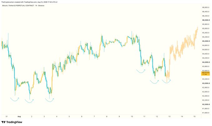 A TradingView 1-hour candlestick chart of the Bitcoin/US Dollar Perpetual Contract on Binance (BTCUSDT.P) from August 31 to August 15, showing price action ranging from approximately $62,000 to $66,000, with curved annotations highlighting recent lows near $63,000–$63,700. The marked dips align with the post's claim that short-sellers hunted stop losses and leveraged longs before a recovery toward $66,000.