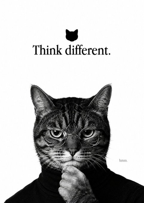 A black-and-white image features a tabby cat wearing round glasses and a black turtleneck, posed in a thoughtful pose with its paw resting on its chin, parodying Apple's iconic "Think different" advertisement. The text "Think different." appears at the top alongside a small cat logo, with "$HMM" (likely referring to the ticker symbol mentioned in the post) subtly placed on the right side, reinforcing the post's message about unconventional thinking driving future ideas.