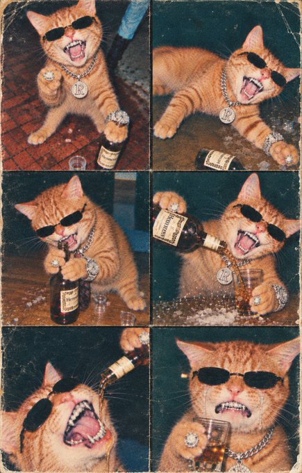 A collage of six photos featuring an orange cat wearing sunglasses and bling, appearing to drink Hennessy whiskey.