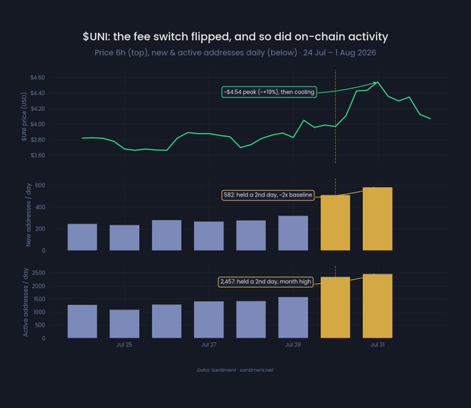 The image is a three-panel chart tracking $UNI from July 24 to August 1, 2026, showing the price rising approximately 19% from ~$3.83 to a peak of ~$4.54 on July 30-31 before cooling to ~$4.07, alongside daily new addresses jumping to 582 (~2x baseline) and active addresses hitting a month-high of 2,457—both holding for a second day, illustrating that the on-chain response to the v4 fee switch activation was sustained beyond just the price movement.