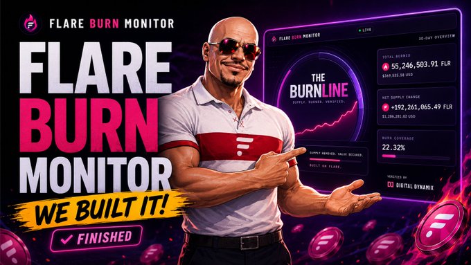 Promotional graphic for 'FLARE BURN MONITOR' featuring a muscular bald man in sunglasses pointing at a dashboard showing token burn statistics, with text reading 'FLARE BURN MONITOR', 'WE BUILT IT!', 'FINISHED', and 'THE BURNLINE'.