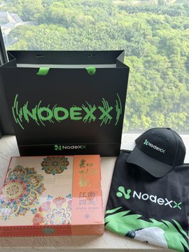 A 'NODEX' branded merchandise haul, including a black shopping bag, cap, drawstring bag, and a decorative orange box, displayed against a window view of greenery.