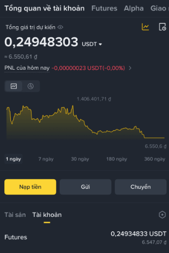 A cryptocurrency account overview in Vietnamese ('Tổng quan về tài khoản') showing an estimated value of 0.24948303 USDT (≈6,550.61 ₫) with a 1-day line chart trending downward.