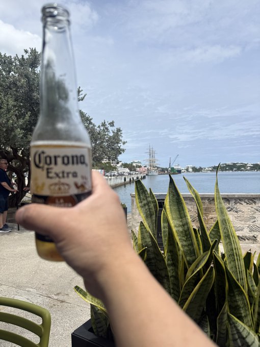 The image shows a person holding a bottle of Corona beer, which has a corona symbol on its label. The person's hand is positioned over a potted plant with long leaves, creating an interesting contrast between the natural elements and the man-made beverage. In the background, there are chairs and a dining table, suggesting that this scene takes place in an outdoor setting or a patio area. The image also contains text about a virtual card for Bermuda, which could be related to the beer being served.