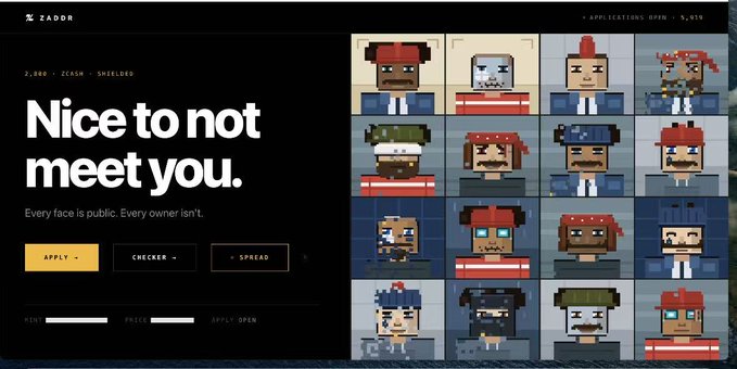 A website for 'ZADDR' displays the headline 'Nice to not meet you.' with the tagline 'Every face is public. Every owner isn't.' alongside a grid of pixel-art NFT avatar portraits, featuring buttons labeled 'APPLY', 'CHECKER', and 'SPREAD'.