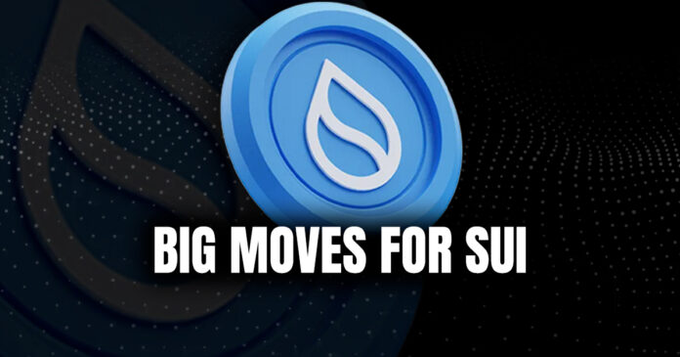 The image features a blue coin with white text, which reads "Big moves for Sui" and "Privacy is making a comeback". The background of the image is black, but there are white dots scattered throughout, giving the impression that they are floating in space or coming from outer space. This creates an interesting visual effect and adds to the overall theme of the post about privacy and blockchain technology.