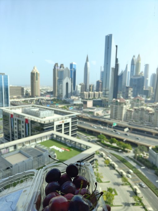 A clear plastic container of fresh cherries is held up against a stunning skyline view of Dubai's towering skyscrapers and busy highways, as seen from the Bitget office.