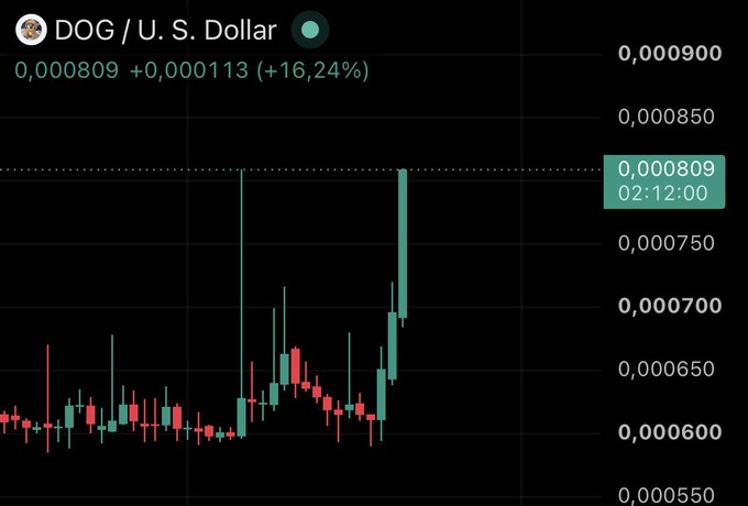 A DOG/U.S. Dollar candlestick chart shows DOG up +16.24% (+0.000113) to 0.000809 at 02:12:00, illustrating the price surge celebrated in the "Vamooooo!! 80M $DOG" post.